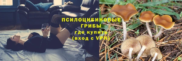 таблы Вяземский