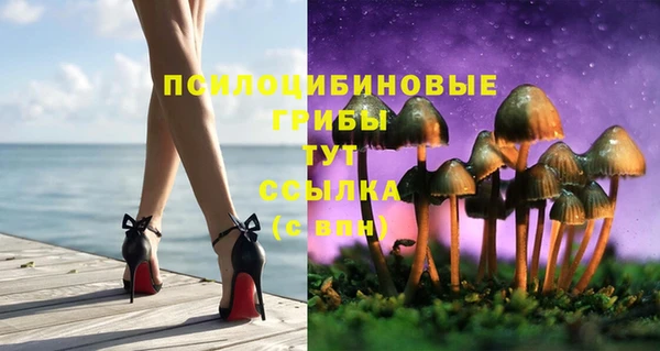 таблы Вяземский